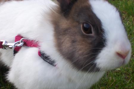 c'est votre jour de chance !!