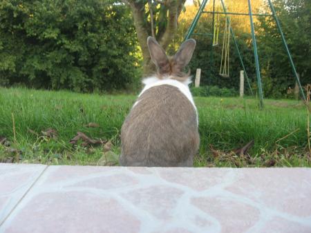 �^**.. Je suis heureuse ;^^ La vie est belle *^..